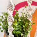 White Rainbow Dust Macrame Plant Hanger - Sprouts of Bristol