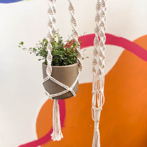 White Rainbow Dust Macrame Plant Hanger - Sprouts of Bristol