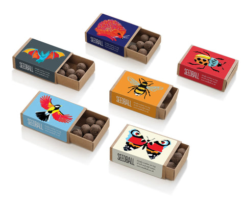 Wildlife Collection Seedball Boxes - Sprouts of Bristol