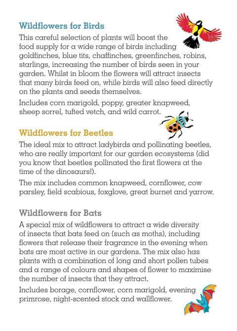 Wildlife Collection Seedball Boxes - Sprouts of Bristol