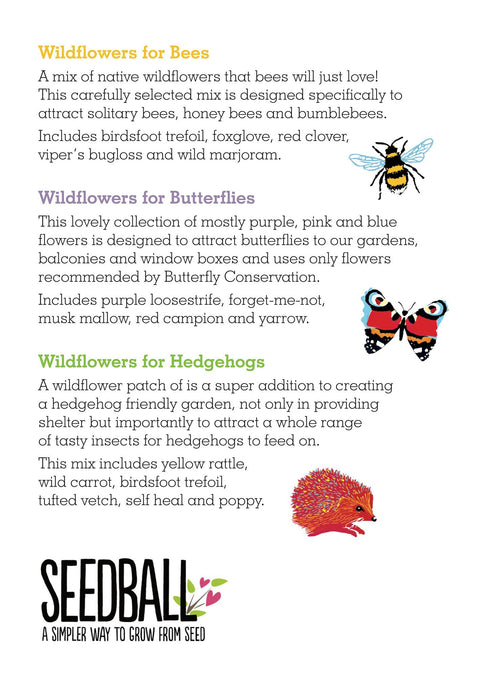 Wildlife Collection Seedball Boxes - Sprouts of Bristol