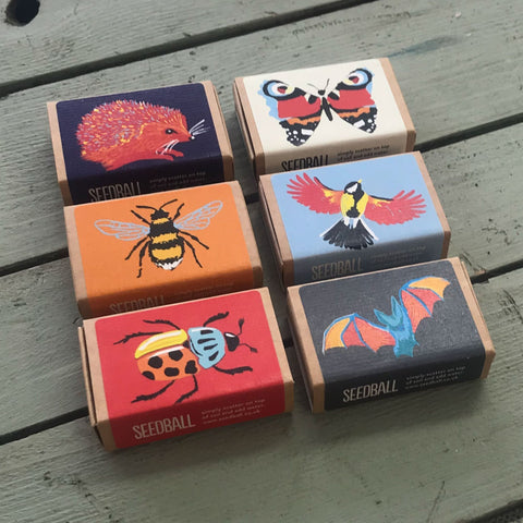 Wildlife Collection Seedball Boxes - Sprouts of Bristol