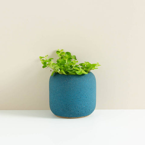 Willow Small Planter - Sprouts of Bristol