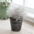 Winson Plant Pot - Sprouts of Bristol