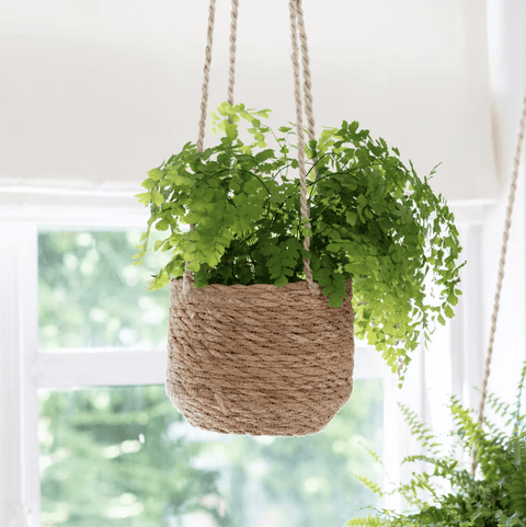 Woven Hanging Pot - Sprouts of Bristol